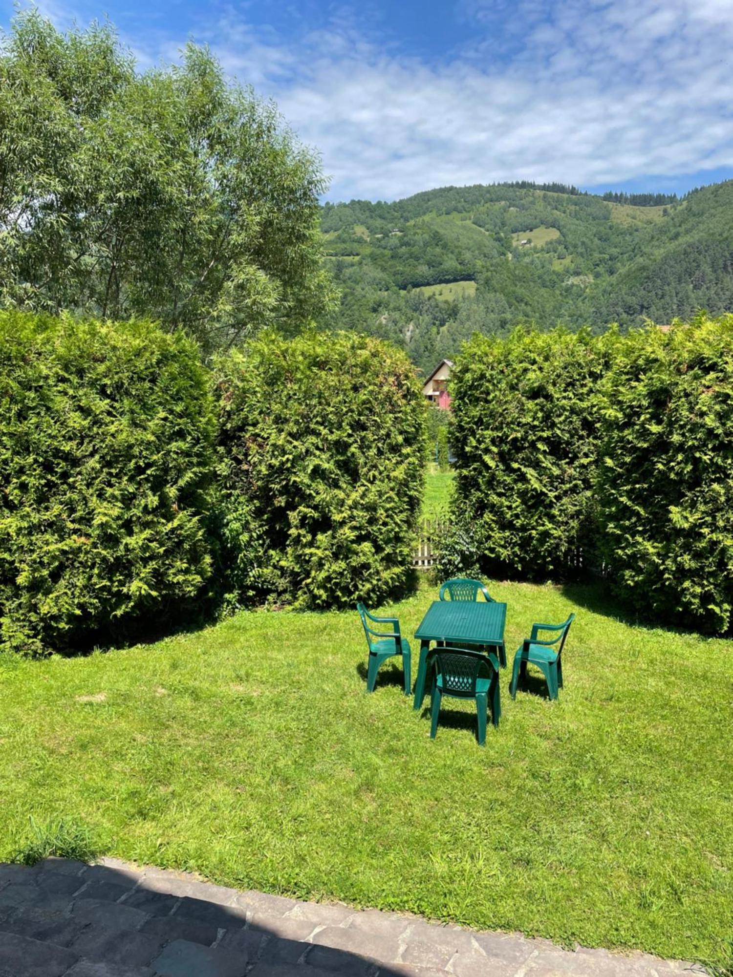 Homy Family House Bran (Brasov) Exterior foto