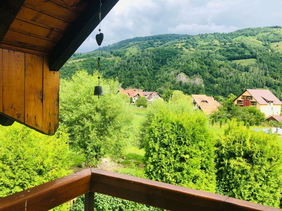 Homy Family House Bran (Brasov) Exterior foto