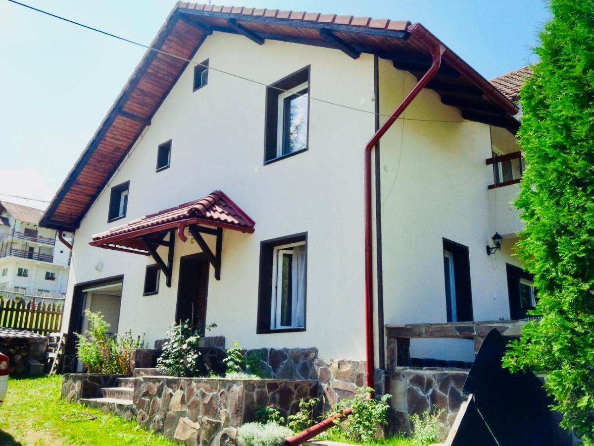 Homy Family House Bran (Brasov) Exterior foto